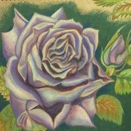 Сиреневая роза