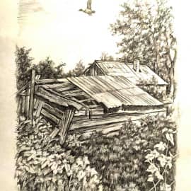 Домик и сарай девушки Наташи,страдающей алкогольной зависимостью