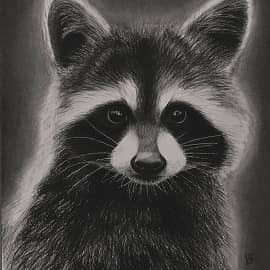 Крошка енот