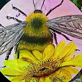 Весенний шмель