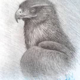 Портрет Ястреба