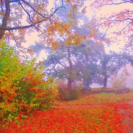 Осенние тропинки.