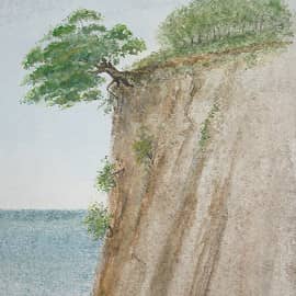 "Над обрывом"