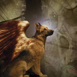 Призрачный пёс