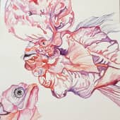 Странные рыбки(розовые)