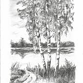 как три тополя..