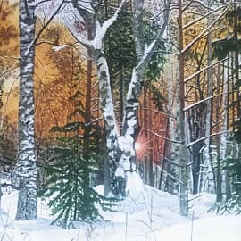 Утро в зимнем лесу