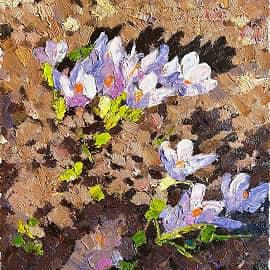 Первоцветы