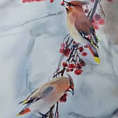 Птички. Зима