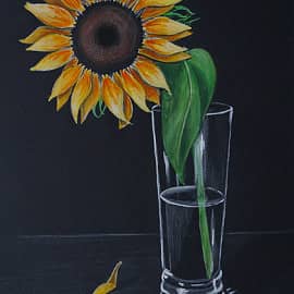 Цветок солнца в стакане