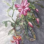 Рождественник