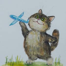 Кот и самолет