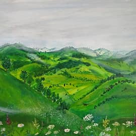 Зеленое море Алтая