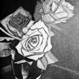 Розы 2
