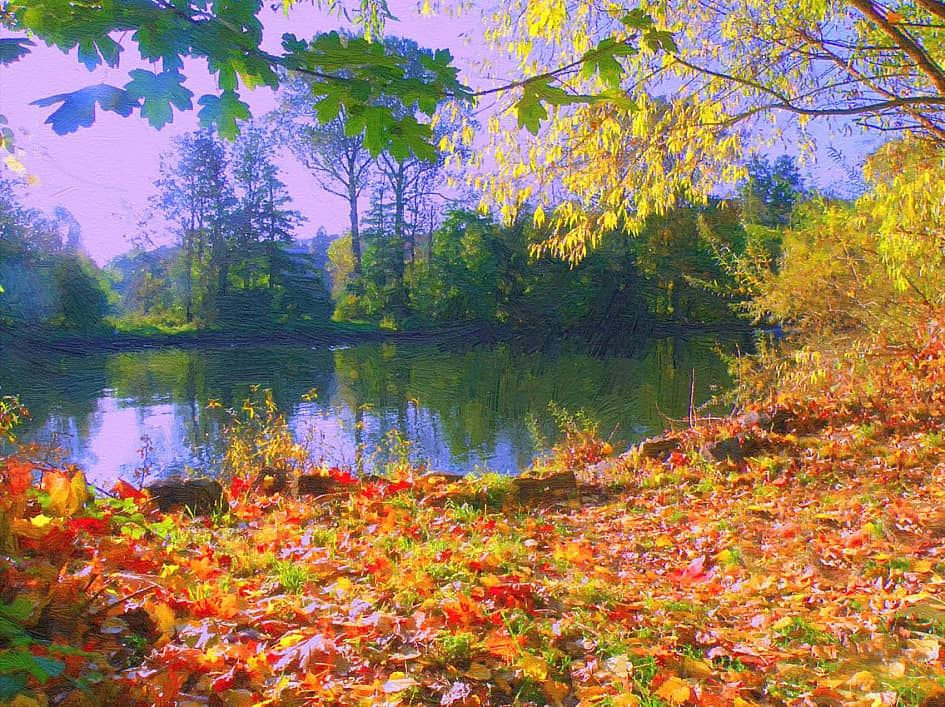 Солнечный берег.