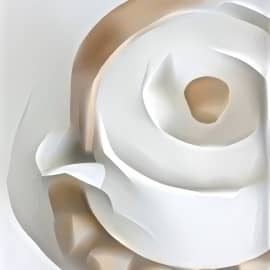 Adventures in Wonderland