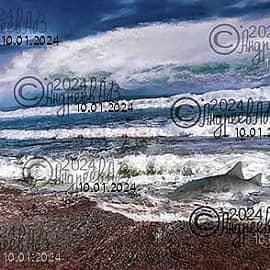 Море, волны и рыбка выброшенная на пляж.