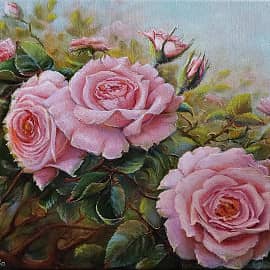 Майские розы. Нежно-колючая красота под моим окном...