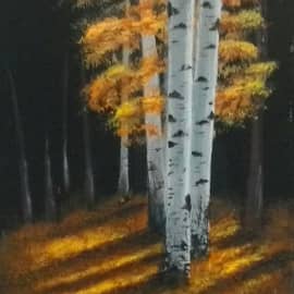 Зайки солнца