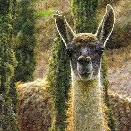 Животные 055