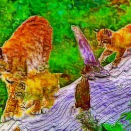 Животные 003