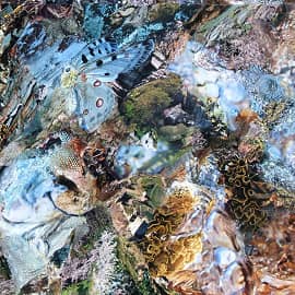 Тропик Близнецов