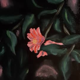 Картина дня