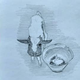 Сельськие мотивы