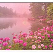 Сквозь туман. (1), художник Alex-08