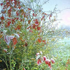 холодная осень