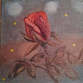 Роза в ночи