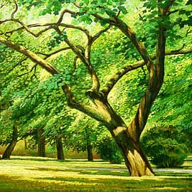 Зеленый шум