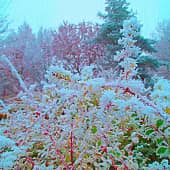 Зима подкралась.