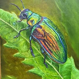 "Радужный жук " ( еще в работе)