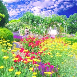 в летнем саду