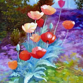 Маки в саду