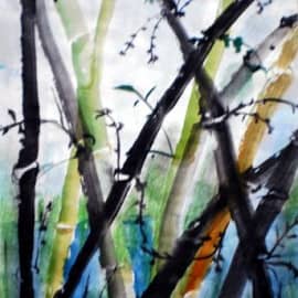 Цветной бамбук