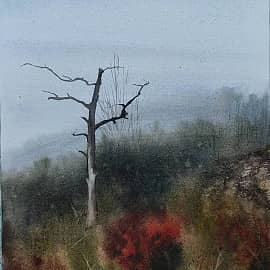 Осень в Жигулях #1