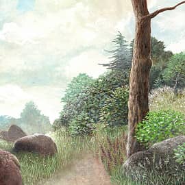 Окрестность