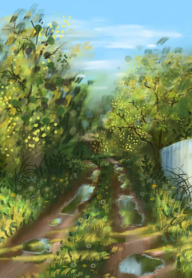 По тропе в деревне