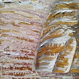 Картина дня