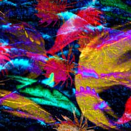 Абстракция 062