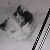 Юлиса (1), художник Елена А. Винокурова