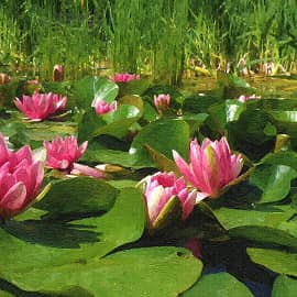 пора цветения