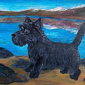 Зенит (скотч-терьер)