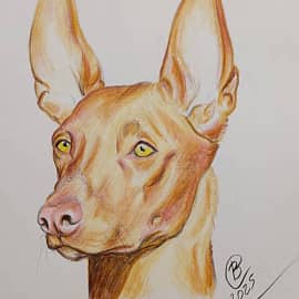 Фараонова собака