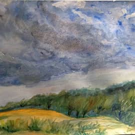 Перед грозой