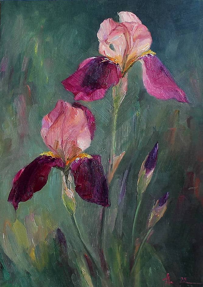 Ирисы
