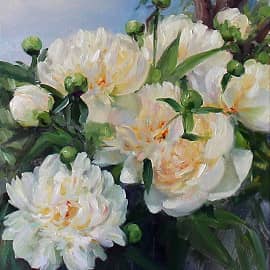 Белые пионы