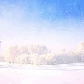 Белое покрывало